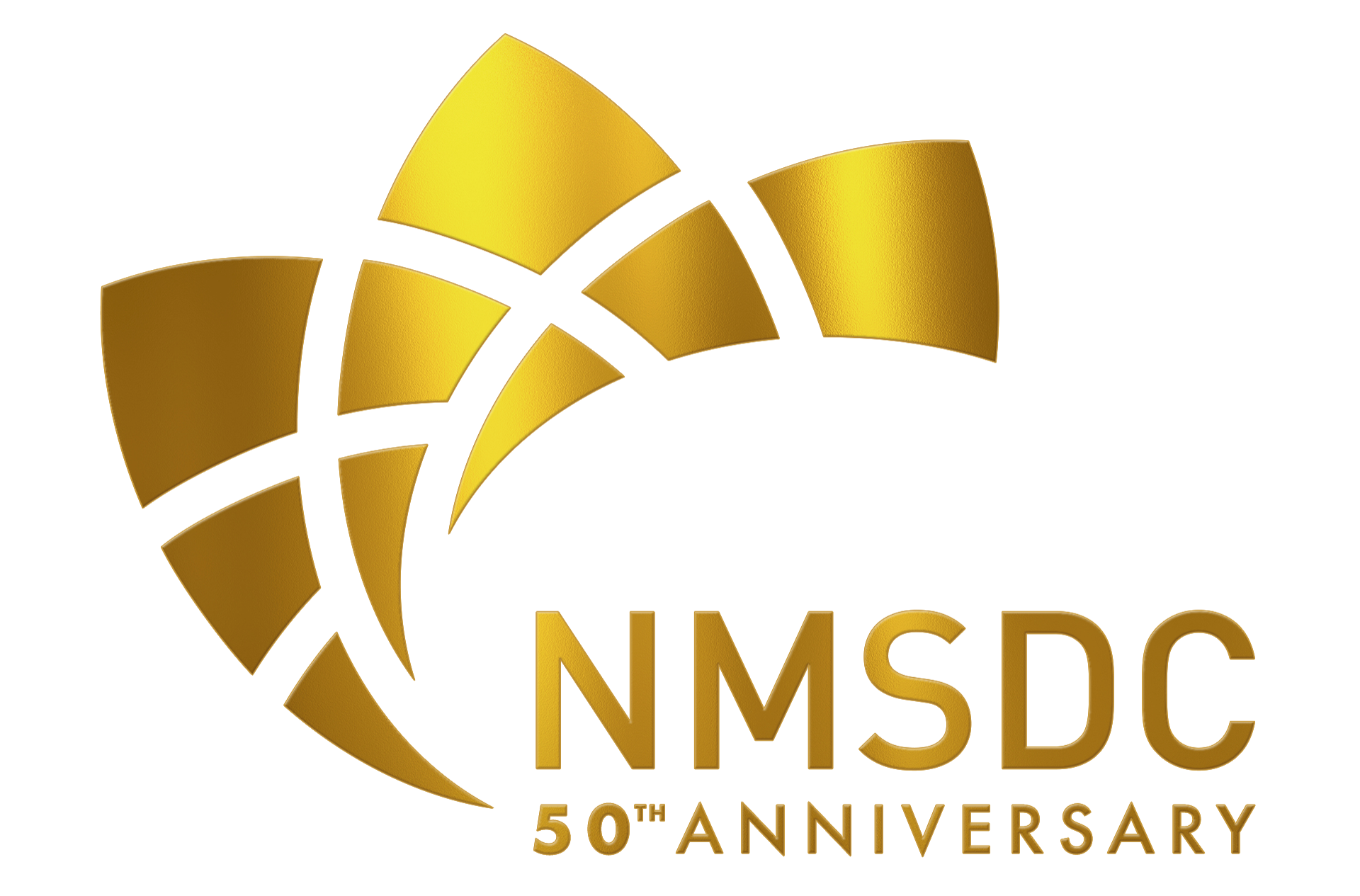 NMSDC50-no-background-Logo